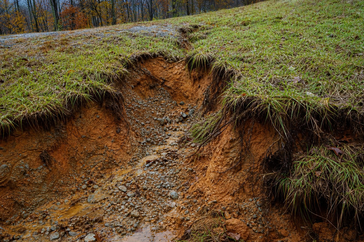 Erosion gully cut into a grassy clay hillside after heavy rain